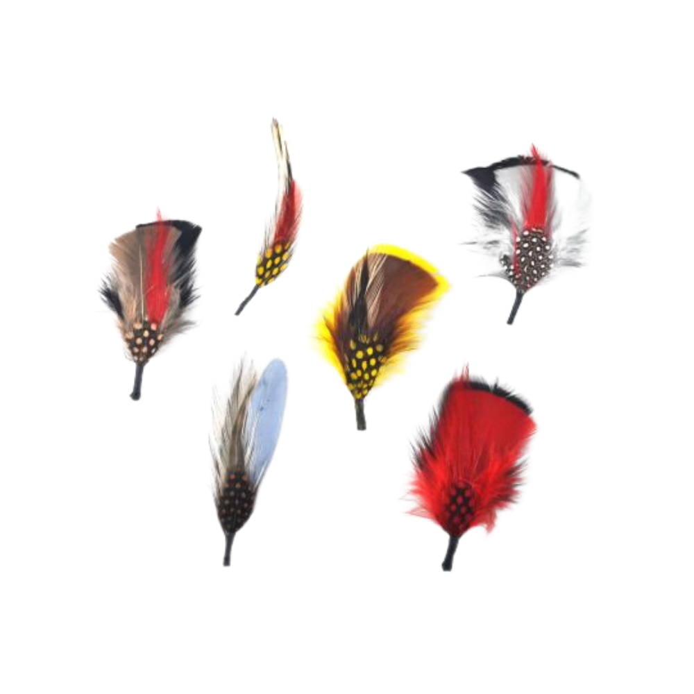 Hat Feathers, Assorted Natural Feather Packs Accessories for