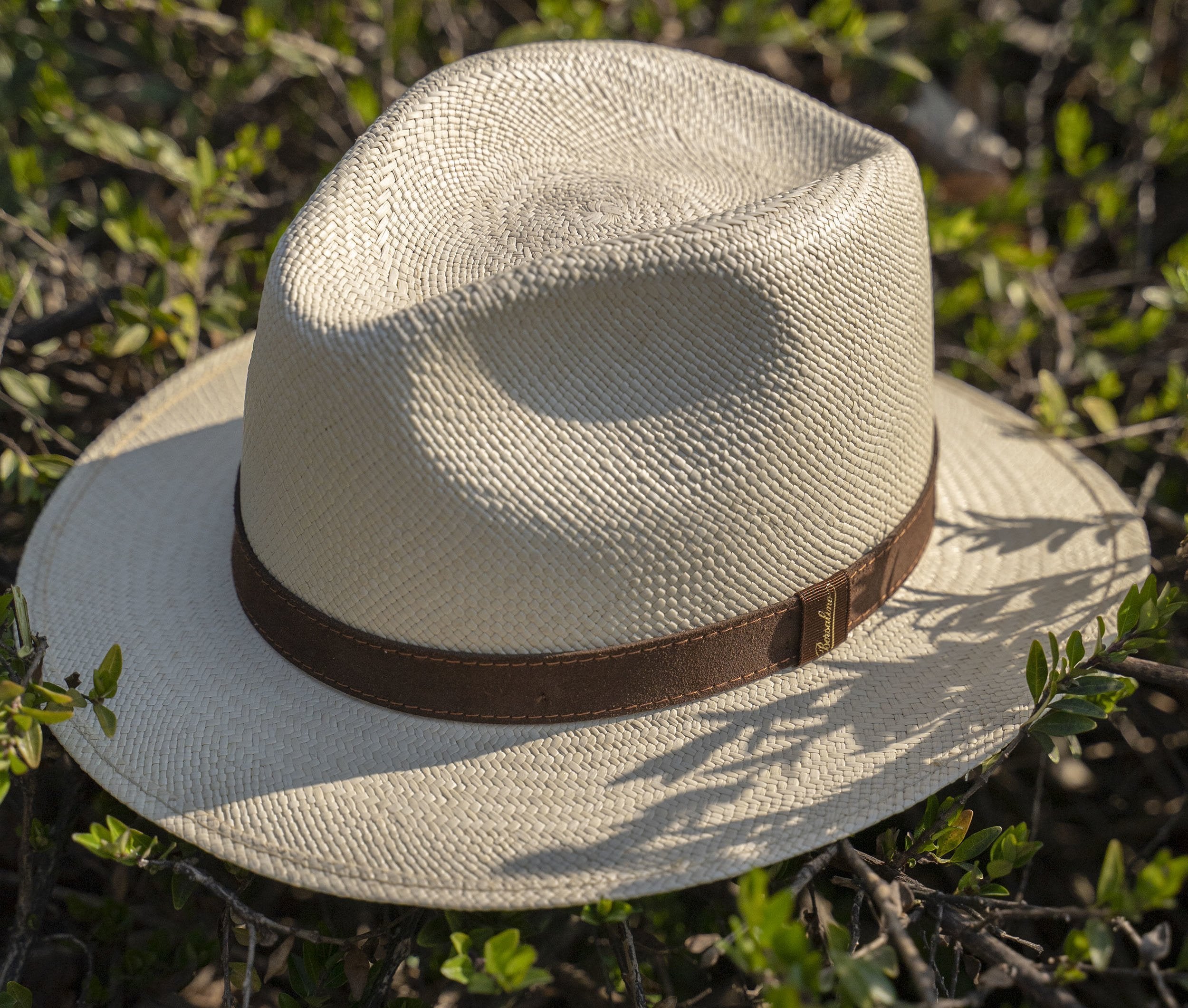 Borsalino-Panama Quito